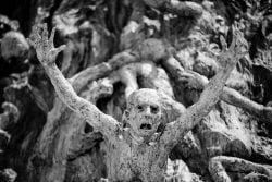 monumento-holocausto_miami_tomas-hawk_06