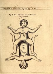 physica-curiosa-17