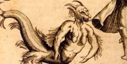 physica-curiosa-detalle