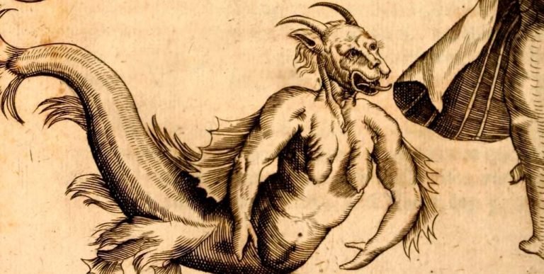 Detalle de Physica Curiosa