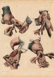 atlas-anatomia-humana-cirugia-06