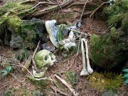 restos-cadaver-suicida-aokigahara