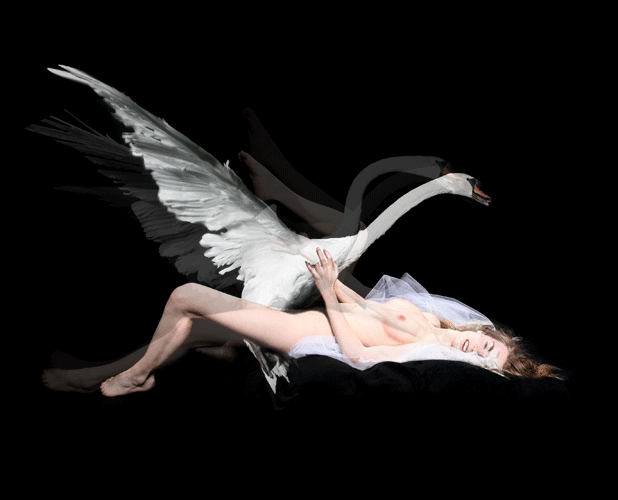 Derrick Santini: Gif animado de Leda y el Cisne