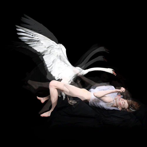 Derrick Santini: Gif animado de Leda y el Cisne