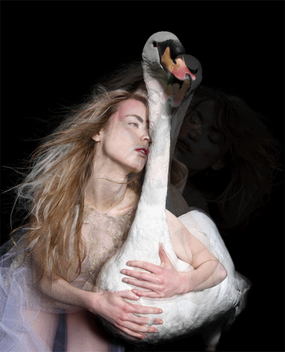 Derrick Santini: Gif animado de Leda y el Cisne