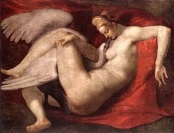 miguel-angel-leda-cisne-1530