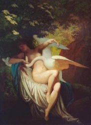 szekely-leda-cisne