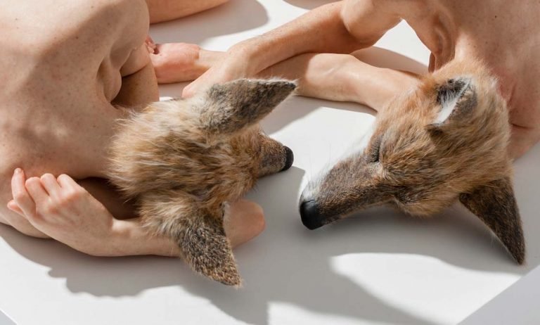 Sam Jinks: Cabeza de perro (2008) #2