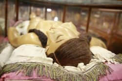 venus-anatomica-00